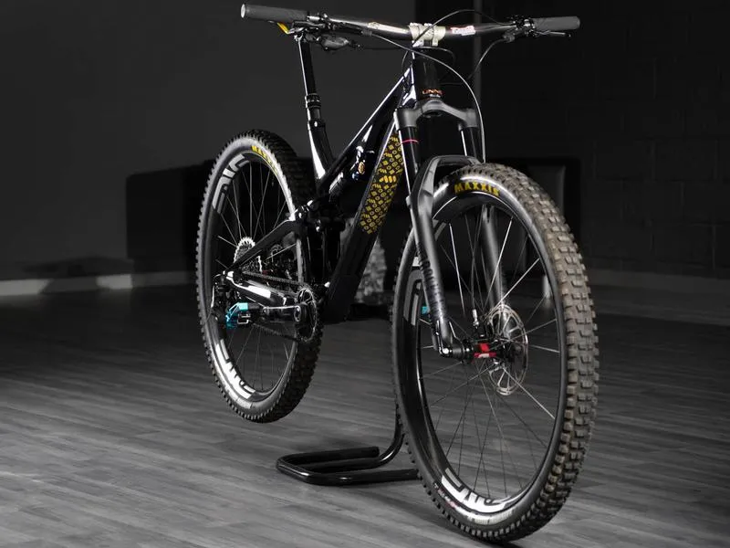 All Mountain Style - Gold Couture Frame Guard