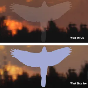 Duncraft Bird-Safe® Hawk Window Strike Decals
