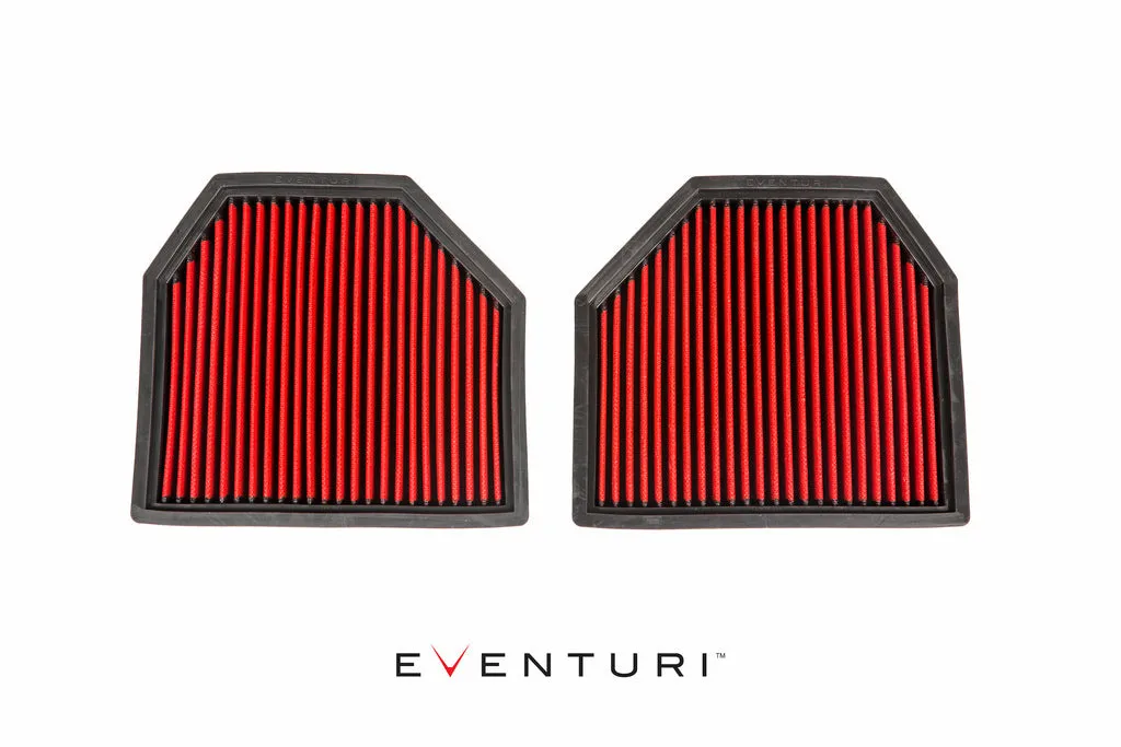 EVENTURI EVE-F8XM-PF Panel filter pair BMW F8X M3/M4