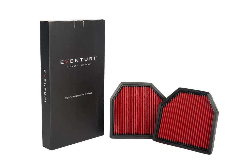 EVENTURI EVE-F8XM-PF Panel filter pair BMW F8X M3/M4