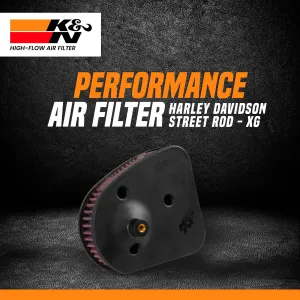 Harley Davidson Street Rod  750 2017 K&N air filter