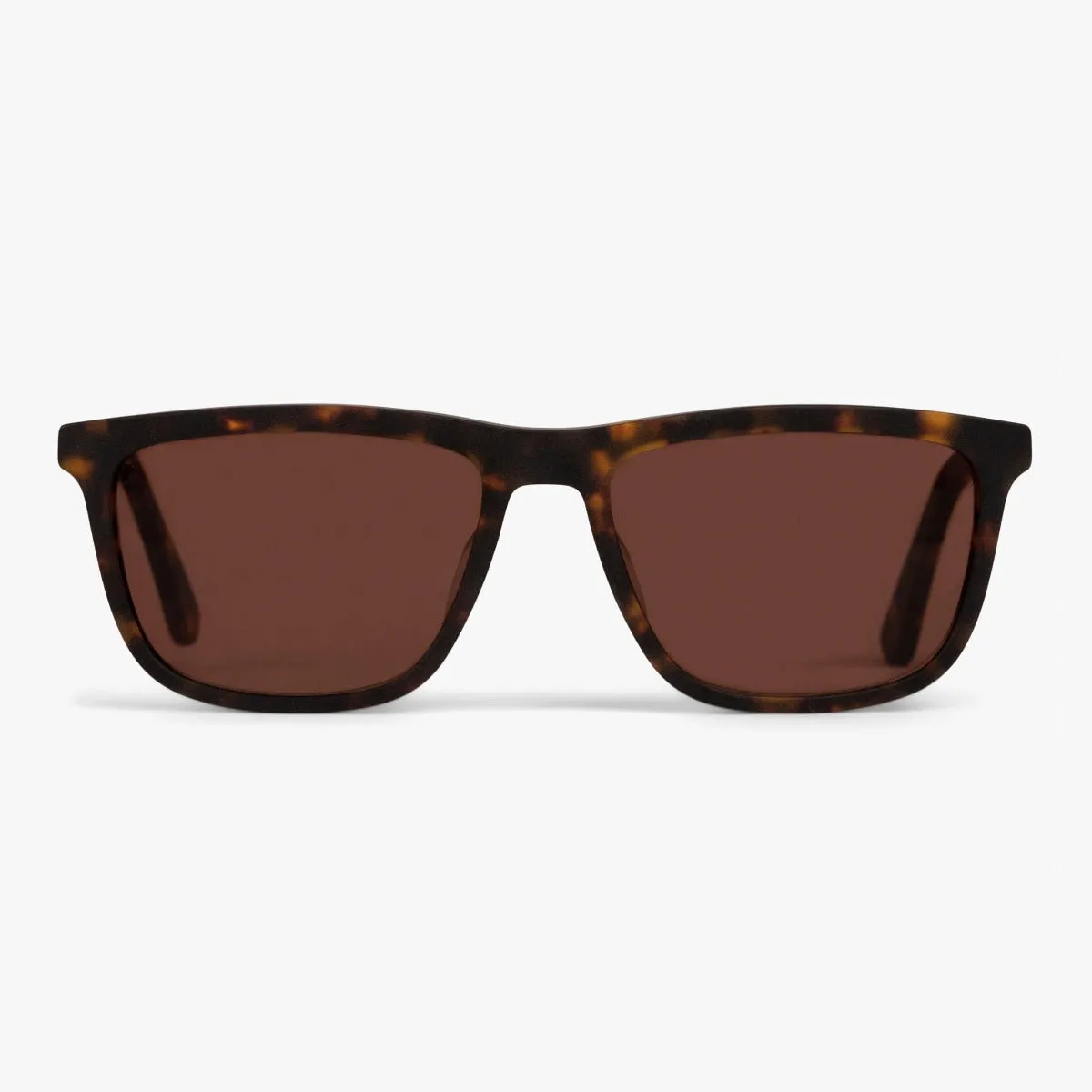 Men's Oslo Dark Turtle