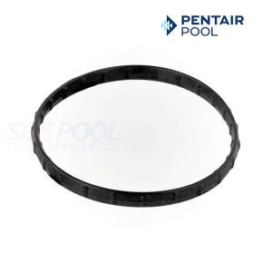 Pentair Union Diamond Seal For Clean and Clear RP Filters | 178746Z