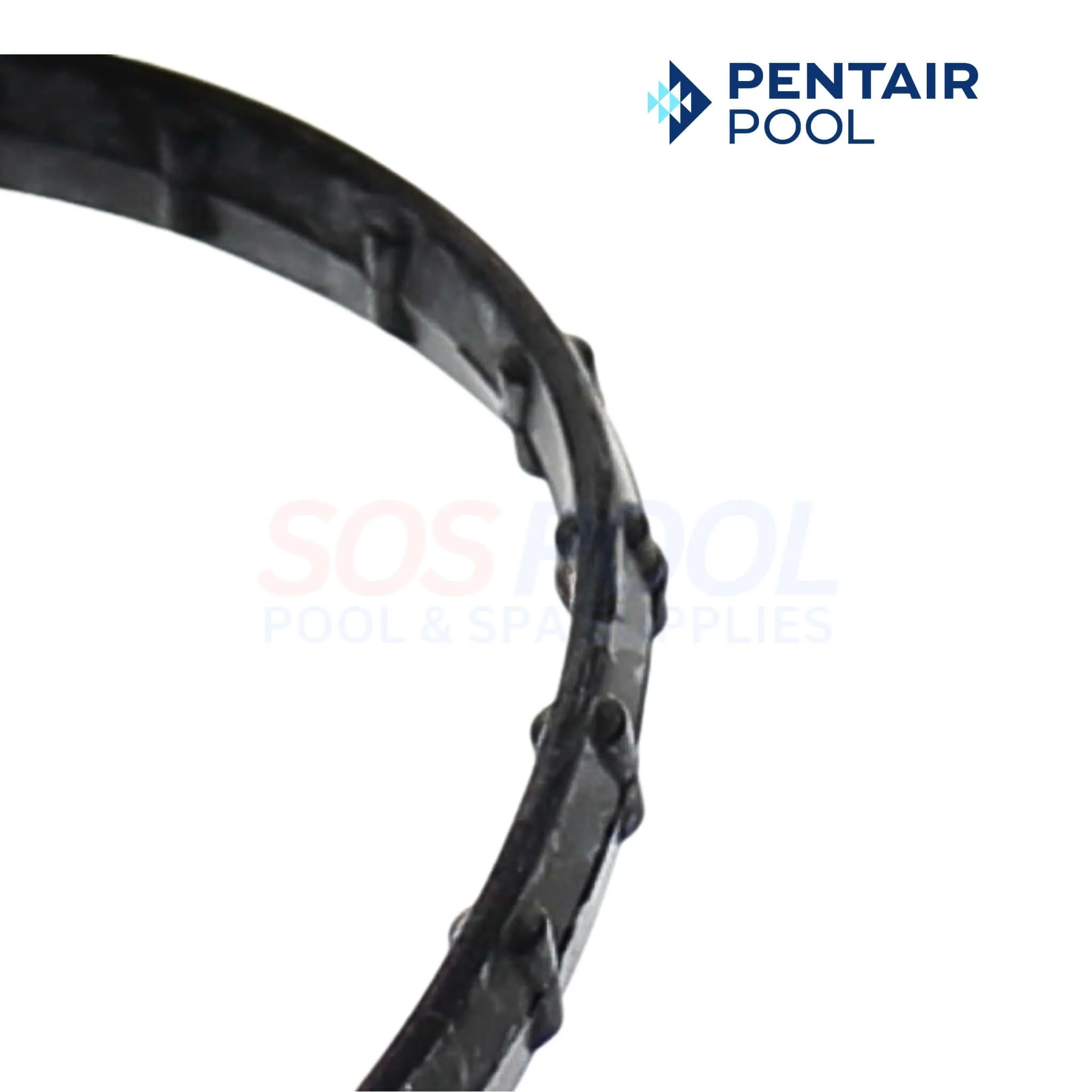 Pentair Union Diamond Seal For Clean and Clear RP Filters | 178746Z