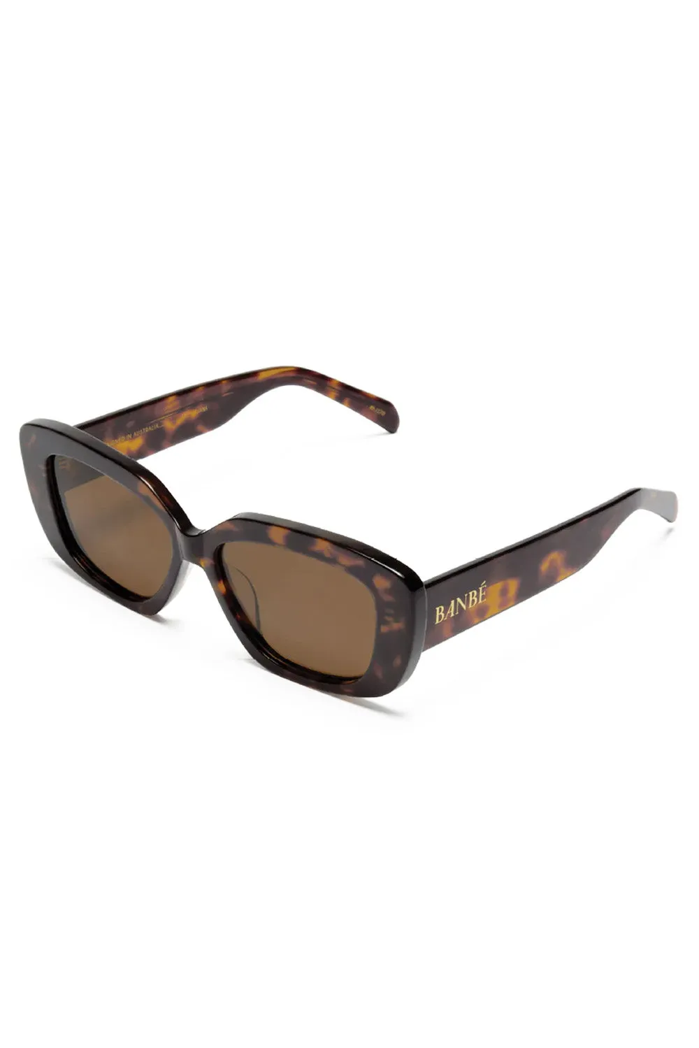 THE ILLIANA - Havana-Chocolate